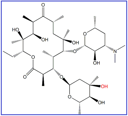 ERYTHROMYCIN C / 3-O-DESMETHYL ERYTHROMYCIN